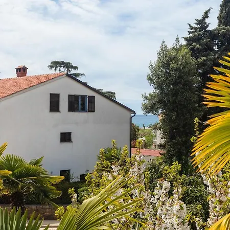 Apartment Pavle