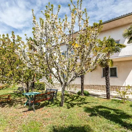 Pavle Apartment *